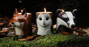 NEW British Wildlife Collection