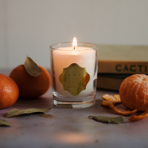 Apricot House Candle | apricot, nectarine, and jasmine