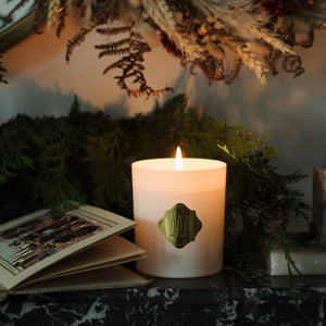 Wintery burning claudia candle on fireplace